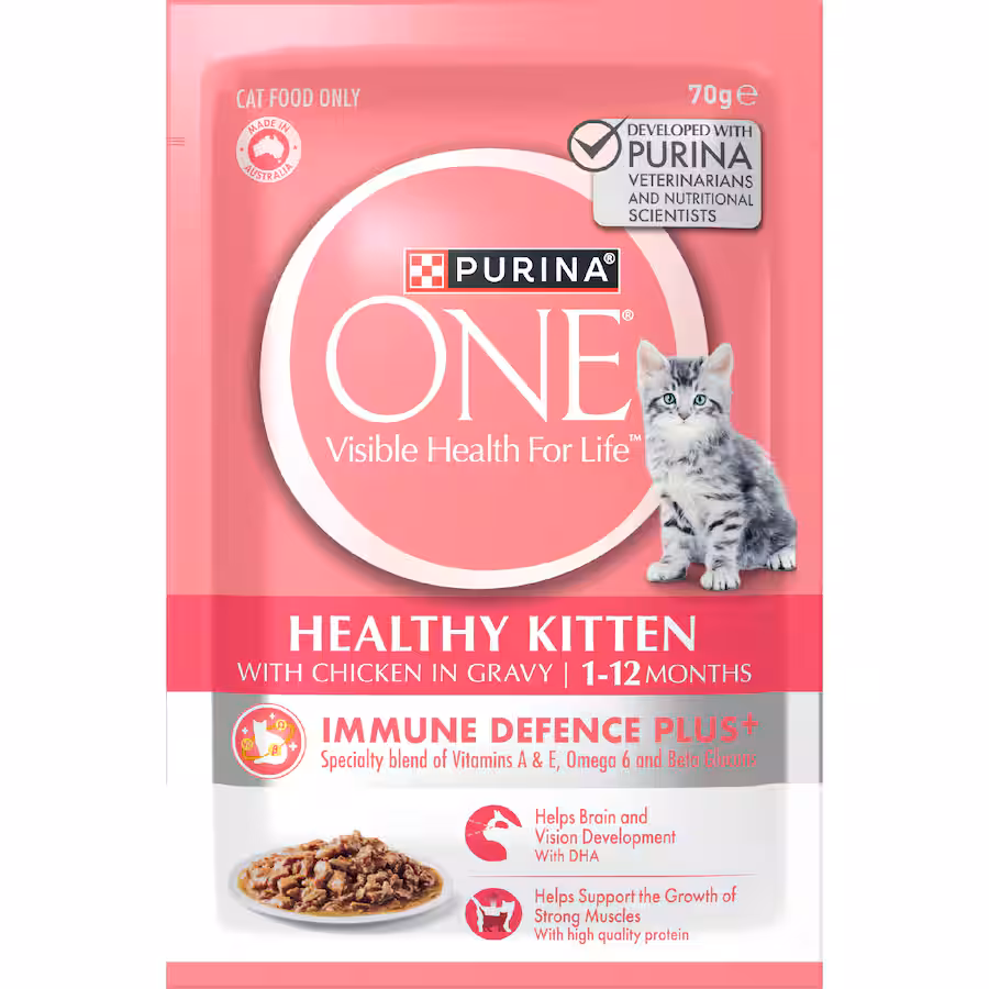 Cat Food